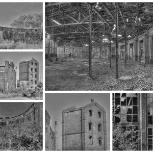 Collage_Fotorx.jpg