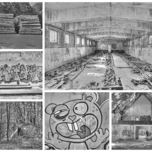 Collage_Fotor4x.jpg