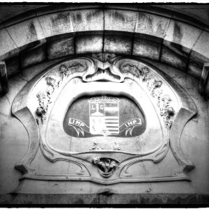 IMG_8071_Fotor.jpg