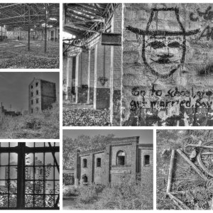 Collage_Fotor2x.jpg