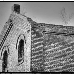 IMG_8168.jpg