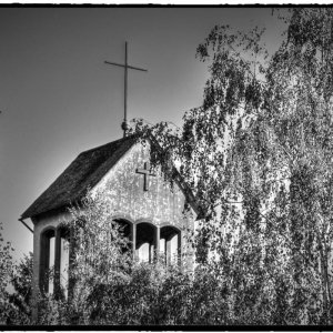 IMG_7306.jpg
