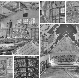 Collage_Fotor5x.jpg
