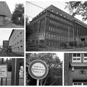 Collage_Fotorx.jpg