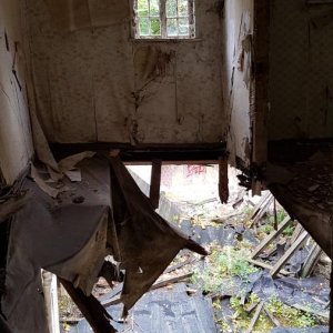 20181004_150311.jpg