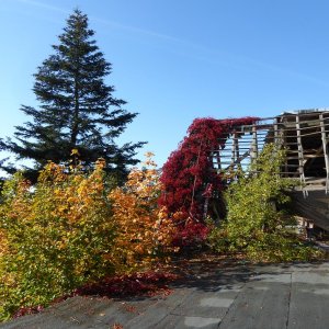 20181005_110051.JPG