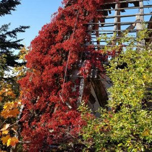20181005_105804.jpg