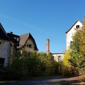 20181005_105256.jpg