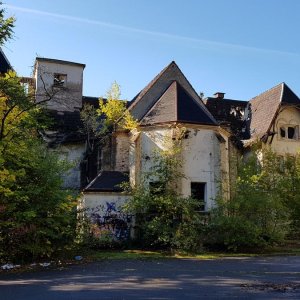 20181005_105216.jpg