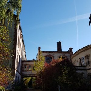 20181005_104952.jpg