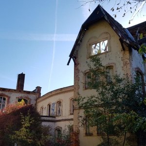 20181005_104935.jpg
