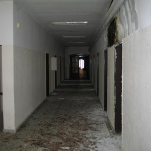 IMG_0134.JPG