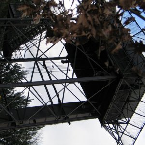 IMG_0315.JPG
