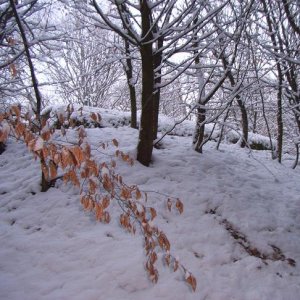 Scheinzeche Bunker 4.jpg