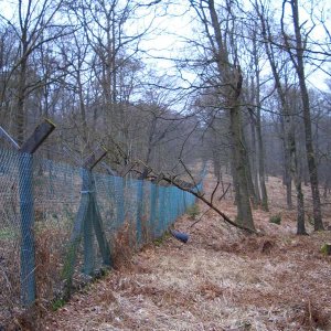 Großzugügige Anlage mit Betonzaunpfählen.JPG