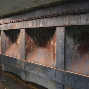 DSC_1113.JPG