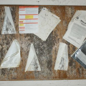 DSC02098.JPG