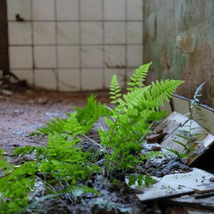 DSCF0149-min.JPG