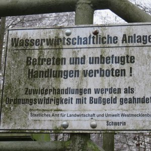IMG_3599.JPG