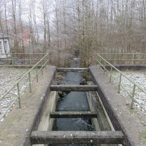 IMG_3600.JPG