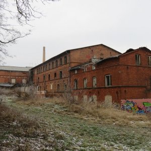 IMG_3603.JPG