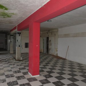 IMG_3579.JPG