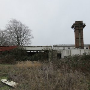 IMG_3538.JPG