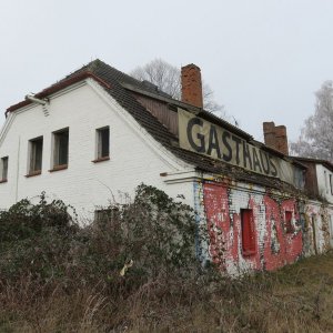 IMG_3537.JPG