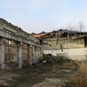 IMG_2670.JPG