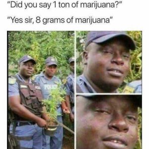 sir-weve-seized-3-tons-of-marijuana-did-you-say-1-ton-of-marijuana-yes-sir-8-grams-of-marijuan...jpg
