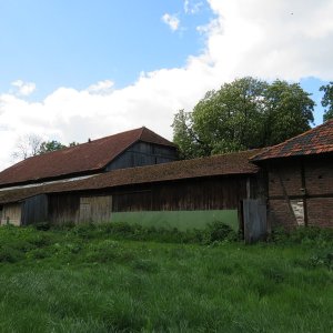 IMG_1393.JPG