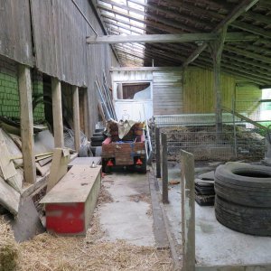IMG_1445.JPG