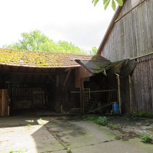 IMG_1460.JPG