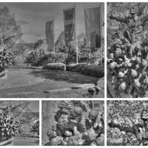 Collage_Fotorx.jpg
