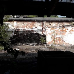 20190501_153918.jpg