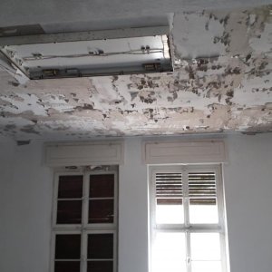 20190505_142950.jpg