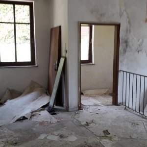 20190505_143206.jpg