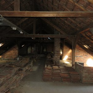 IMG_2646.JPG