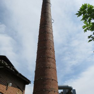 IMG_5134.JPG