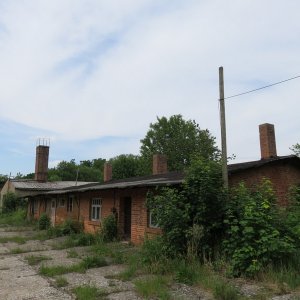 IMG_4975.JPG