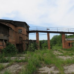 IMG_4977.JPG