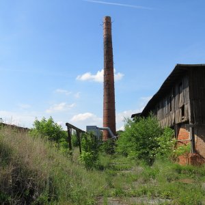 IMG_5249.JPG