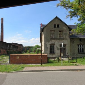 IMG_5263.JPG