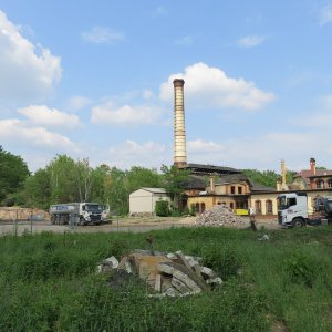 IMG_5697.JPG