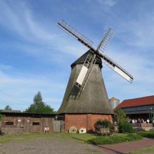 IMG_4344.JPG