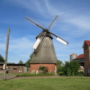 IMG_4341.JPG