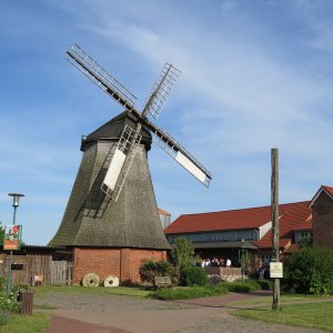 IMG_4339.JPG