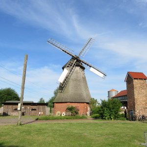 IMG_4343.JPG