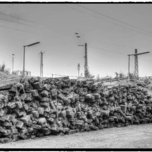 IMG_1769_Fotor.jpg