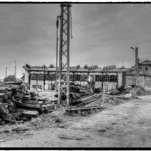 IMG_1775_Fotor.jpg